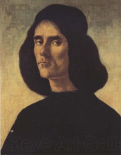 Sandro Botticelli Portrait of Michele Marullo Germany oil painting art